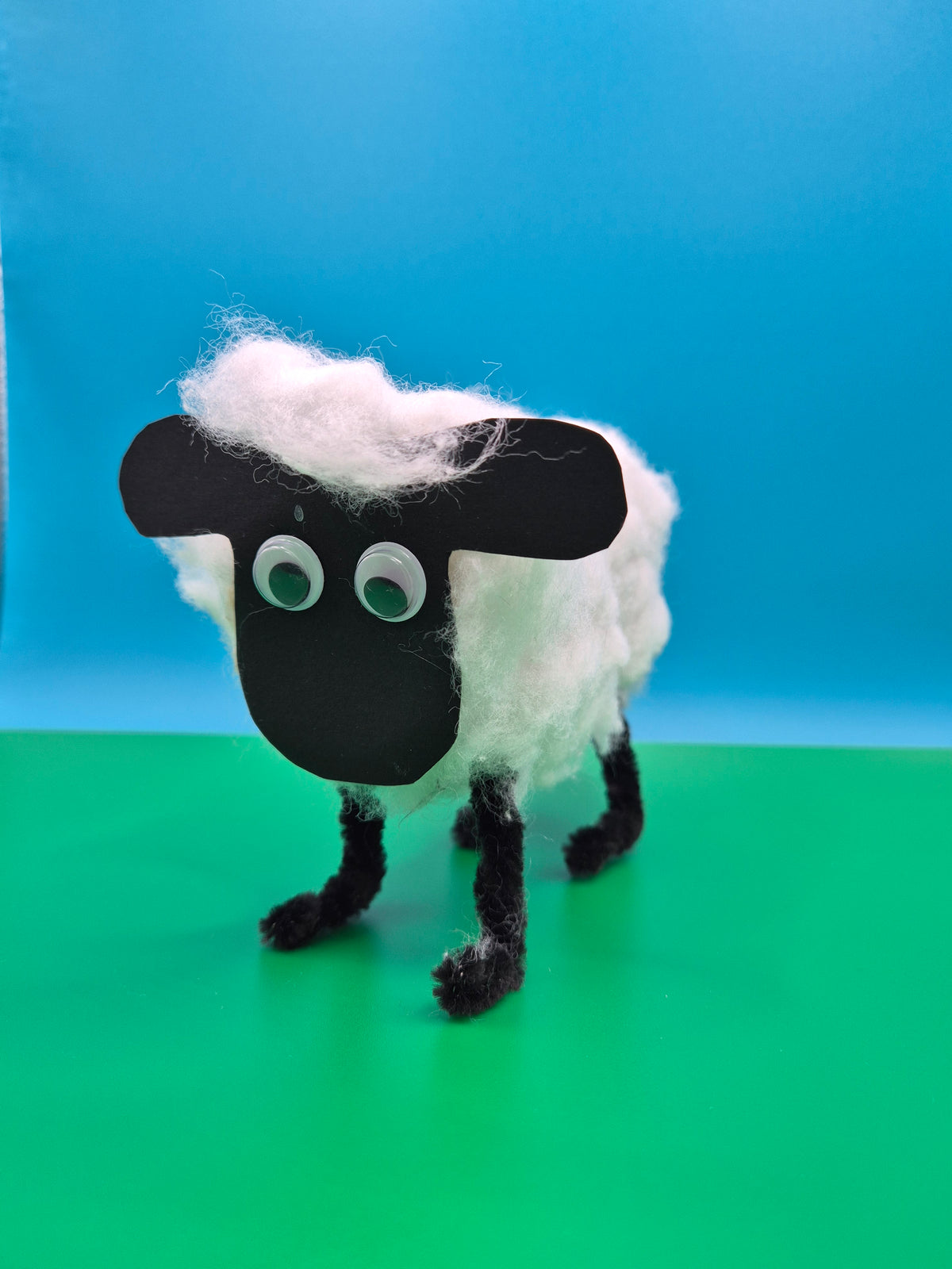 Schaap