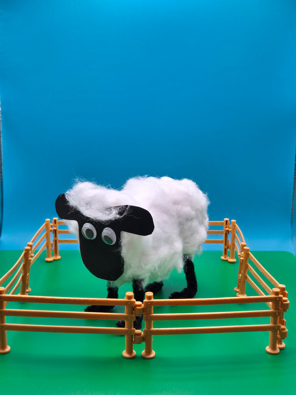 Schaap